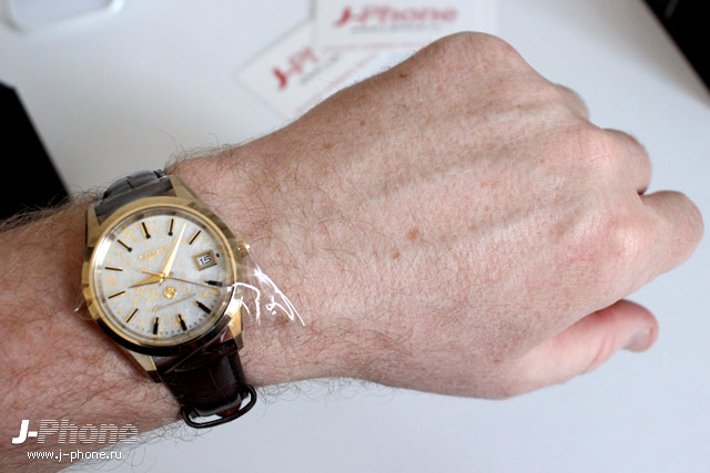 The Citizen 25th Anniversary Limited Model AQ4042-01P