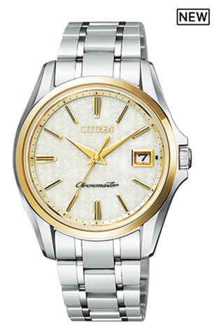 The Citizen AQ4024-53Y