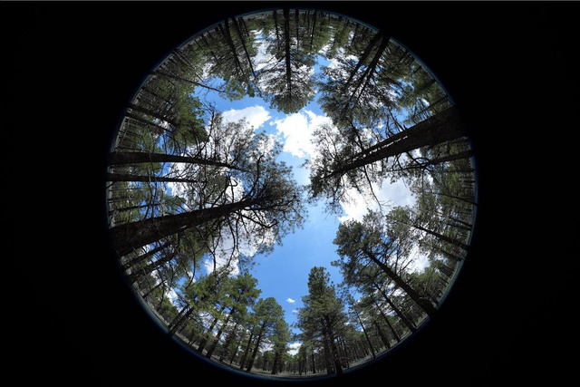 Sony представила первый фишай-зум для E-mount — FE 8–14mm F3.5 Fisheye G