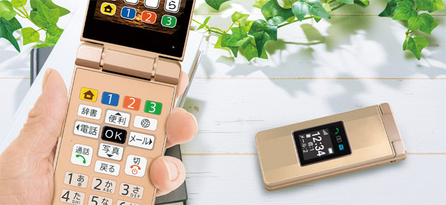 Sharp Simple Phone 10