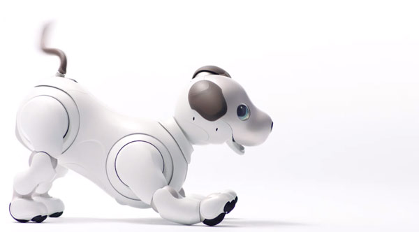 Sony представила обновленную версию робота собаки Aibo Sony представила обновленную версию робота собаки Aibo