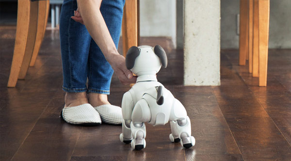 Sony представила обновленную версию робота собаки Aibo Sony представила обновленную версию робота собаки Aibo